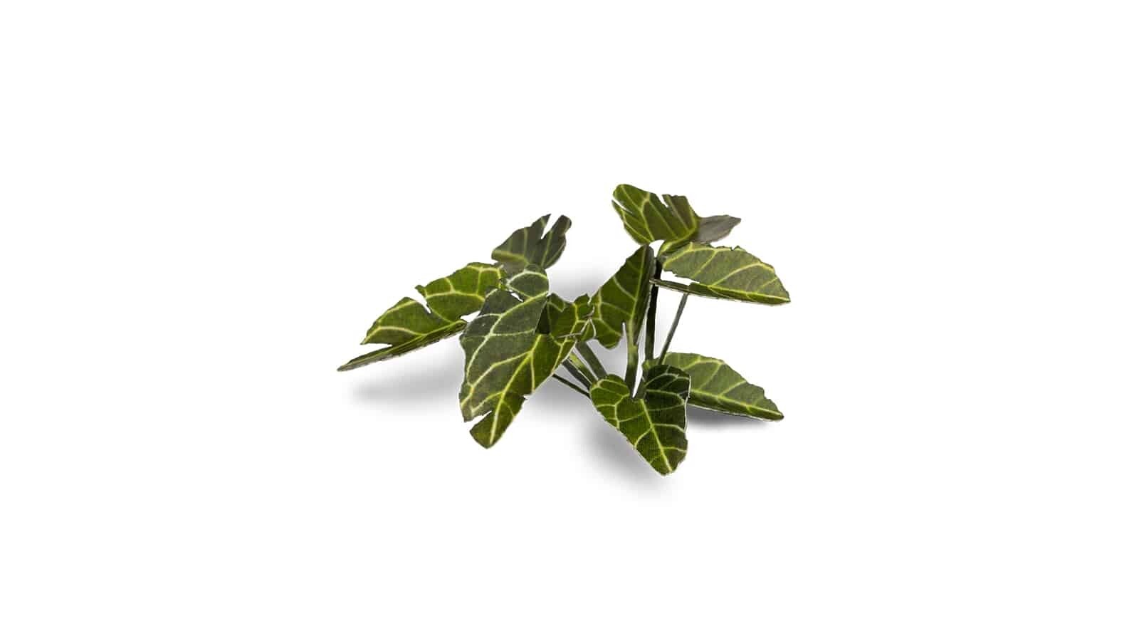 Gamers Grass Full Color Laser Cut Plants Elephant Ear (51) Per Pack GGLP-EE
