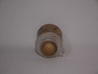 Games Workshop Citadel Colour Dry Golden Griffon Acrylic 12ml/0.40 fl oz (23-14)