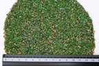 Geek Gaming Scenics Terrain To Fight Over Base Ready Taiga Hillside 250-BR-TIAGA